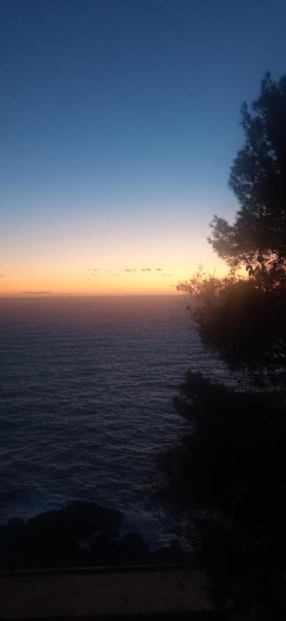 Cinqueterre National Park Sea View Apartment Framura Bagian luar foto