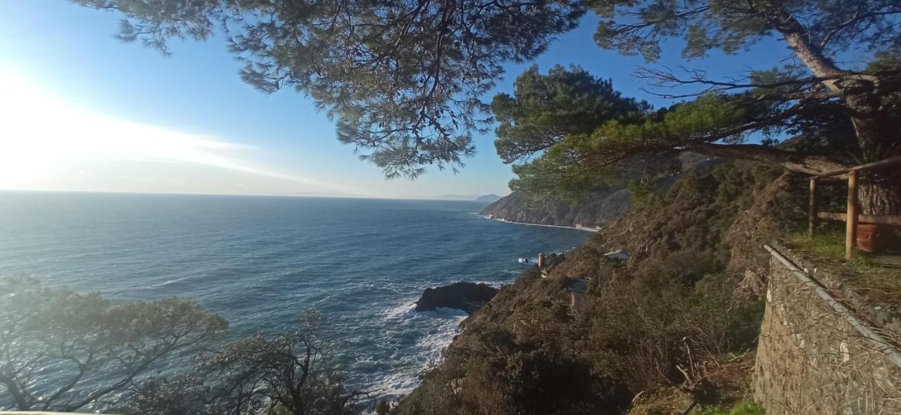 Cinqueterre National Park Sea View Apartment Framura Bagian luar foto