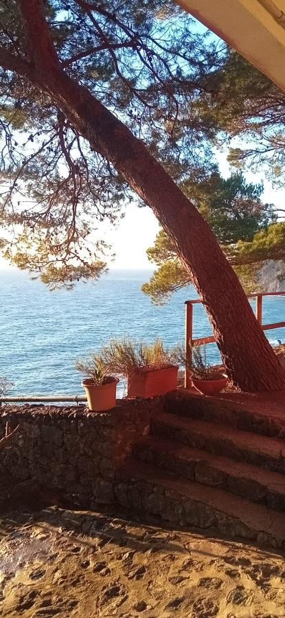 Cinqueterre National Park Sea View Apartment Framura Bagian luar foto