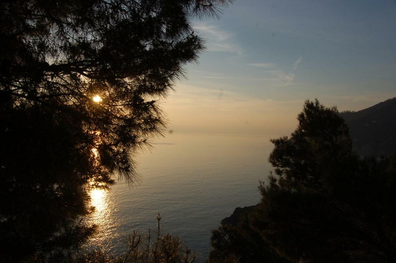 Cinqueterre National Park Sea View Apartment Framura Bagian luar foto